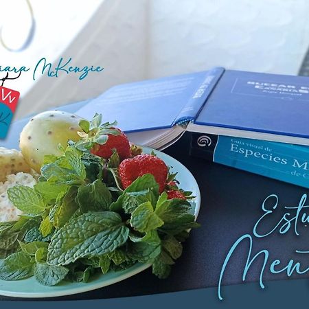 Estudio Menta Tacoronte Ngoại thất bức ảnh